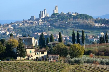 Private Tuscany Day Tour: San Gimignano and Chianti Wine Region from Floren...