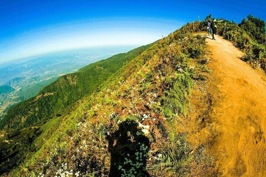 Doi Inthanon National Park and Kew Mae Pan Nature Trail Full Day Tour