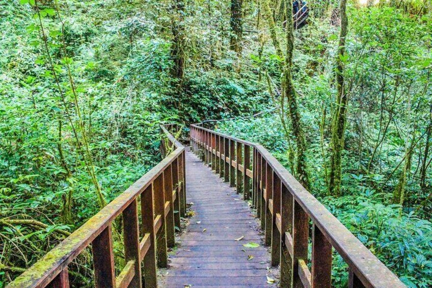 One Day Activity in Doi Inthanon National Park From Chiang Mai