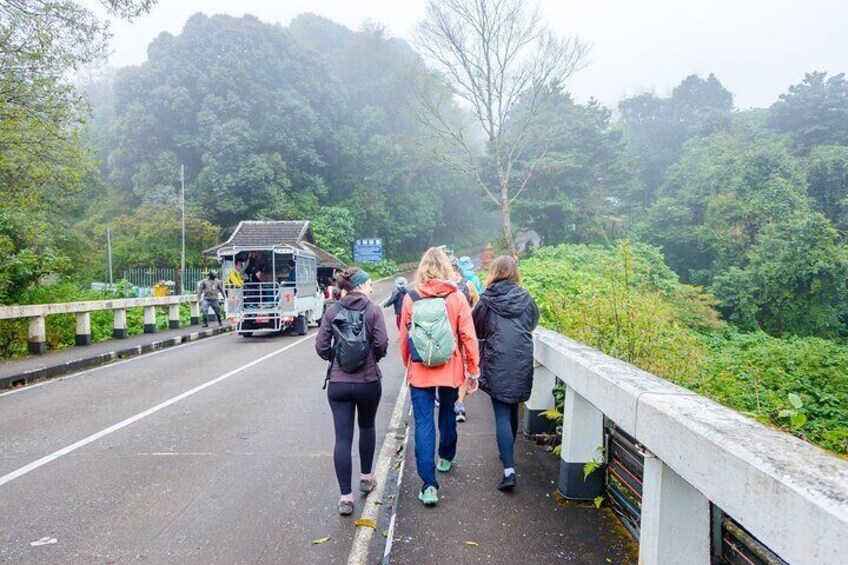 Doi Inthanon National Park, Waterfall & Royal Project Day Tour From Chiang Mai