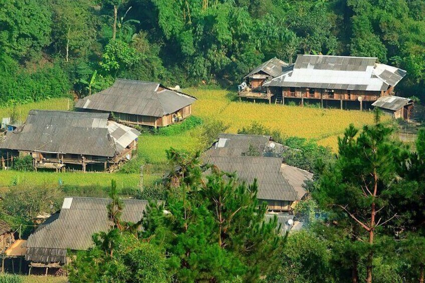 Wat Phra That Doi Suthep & Hmong Village Half Day Tour From Chiang Mai