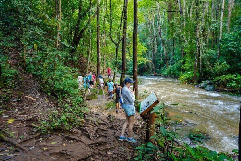 Pha Dok Siew Nature Trail & Doi Inthanon National Park From Chiang Mai