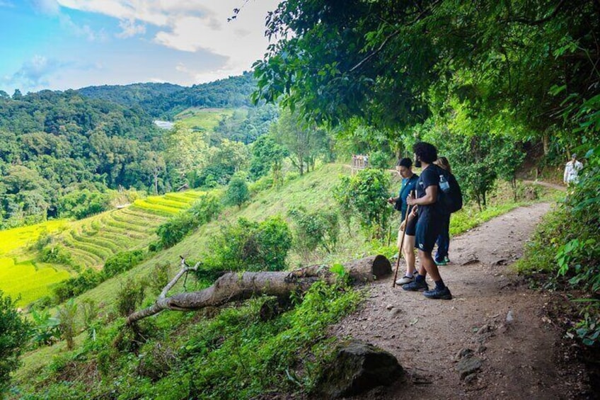 Pha Dok Siew Nature Trail & Doi Inthanon National Park From Chiang Mai