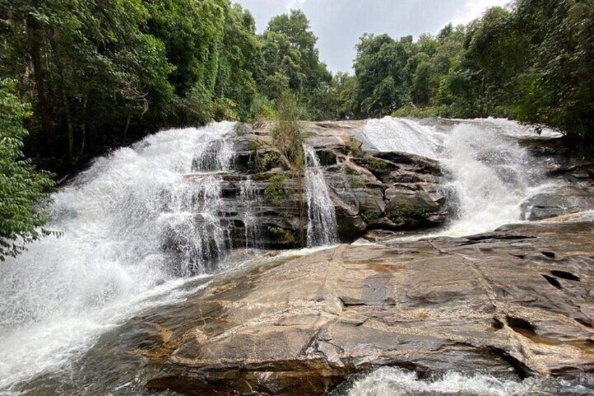 Pha Dok Siew Nature Trail & Doi Inthanon National Park From Chiang Mai