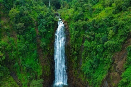 Half Day Materuni Waterfall and Coffee Tour from Moshi