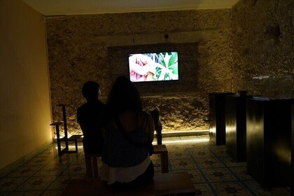 Vanilla Experience Flavor History Gallery and Garden