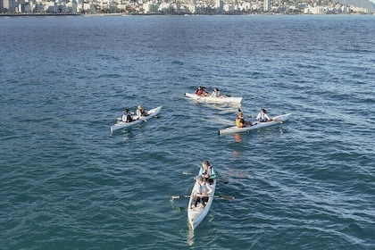 Dolphin kayaking tours Cape Town marine excursion