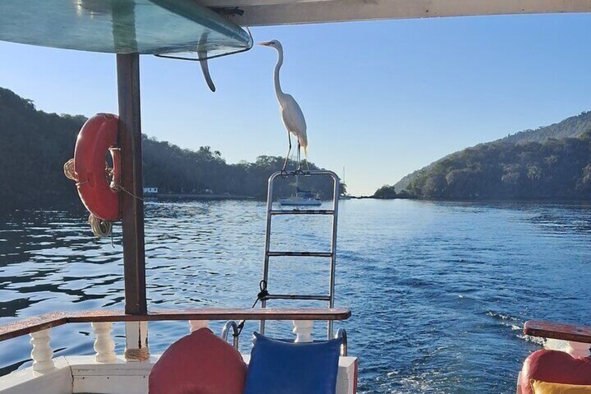 Boat trip through the Bay of Paraty