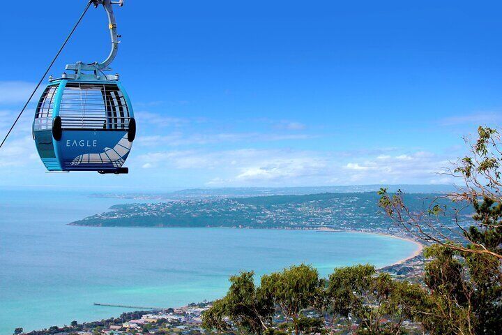 Melbourne Mornington Peninsula Private Trip include Tickets