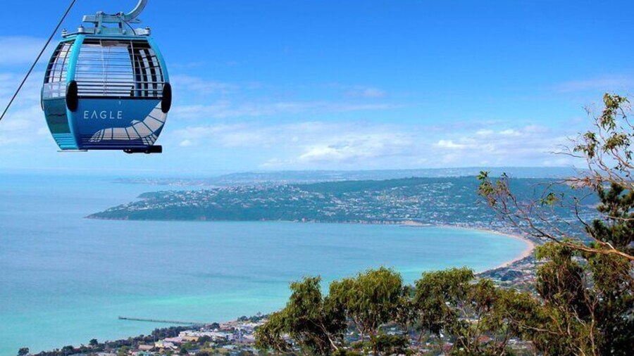 Melbourne Mornington Peninsula Private Trip include Tickets