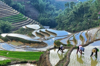 Explore the Best & Highlights of Northern Vietnam in 7 Days