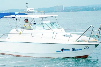 Private Whale Watching Tour by Luxury Speedboat from Mirissa