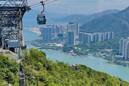 Private Lantau Tour: Crystal Cable Car & Dolphin Boat Ride