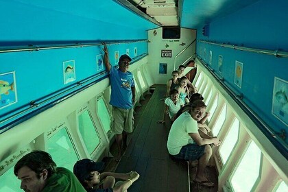 Roatan: Glass Bottom Boat Tour