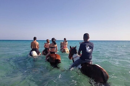 Horse Riding Adventure Desert and Sea in Hurghada
