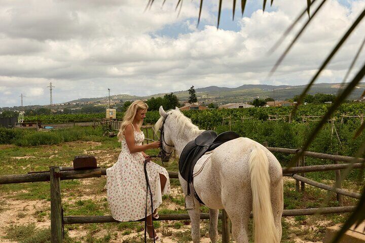Barcelona: Horseback Ride and Picnic for Beginners or Experts
