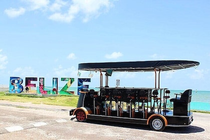 Belize City Group Sightseeing Tuktuk Tour