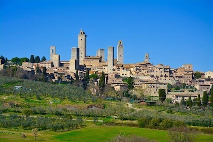 Private Tuscany Day Tour: San Gimignano and Chianti Wine Region from Floren...