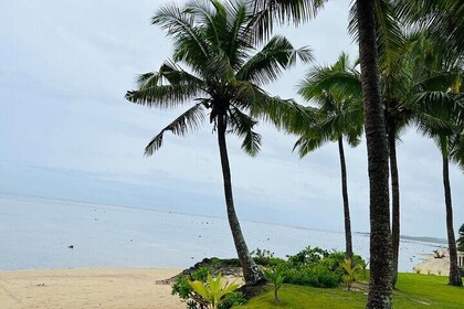 Day Tour Exploration of Fiji Culture and Nature