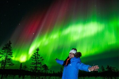 Rovaniemi Northern Lights Tour with Guaranteed Viewings