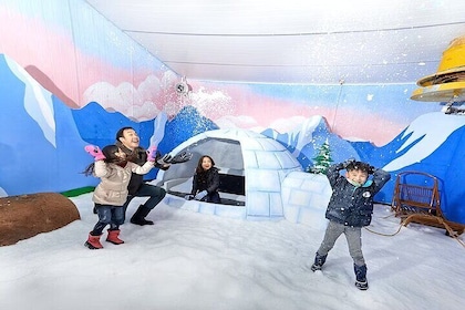 Book Snow City Singapore Tickets Winter Fun Awaits