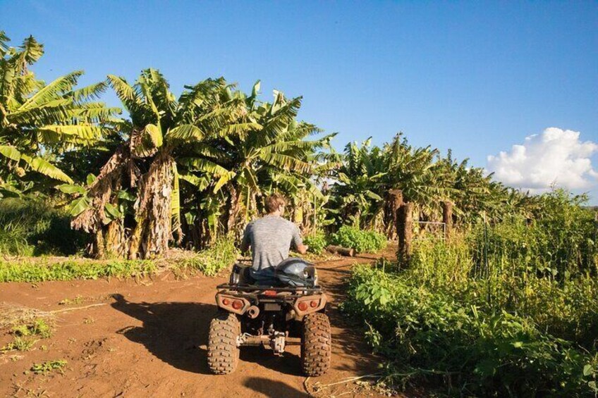 1 Hour Private Oceanfront ATV Rides