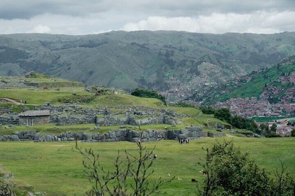 City Tour of Cusco and Encounter with Alpacas and Llamas