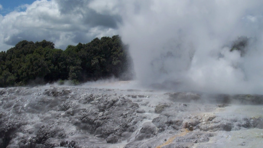 1-Day Rotorua Tour from Auckland with Options