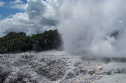 Rotorua Tour from Auckland with Optional Extras