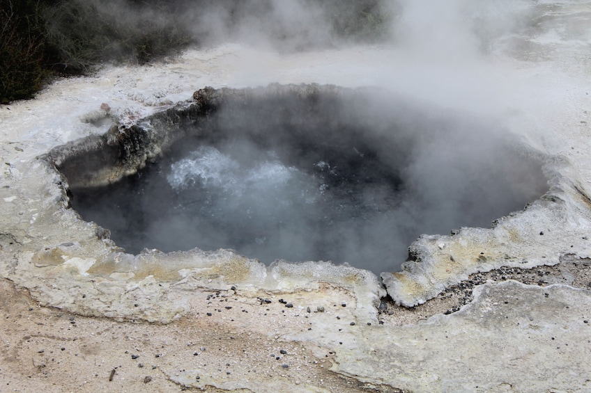 1-Day Rotorua Tour from Auckland with Options