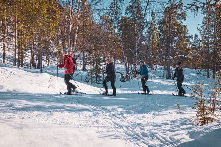 Easy Snowshoe Adventure in the Arctic Wilderness