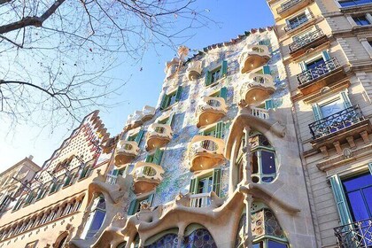 Experience Casa Batllo in Barcelona Ticket