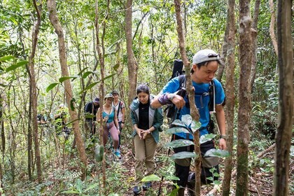 Suoi Tien 4-Hour Jungle Easy Trek and Spring Bath