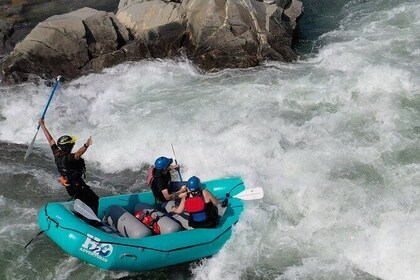 Full-Day 21 Mile Whitewater Rafting Trip on South Fork from Lotus (Class 2-...