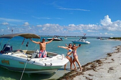 3-Hour Clearwater Beach Adventure – Dolphins, Sandbars & Sunshine