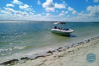 3-Hour Clearwater Beach Adventure – Dolphins, Sandbars & Sunshine