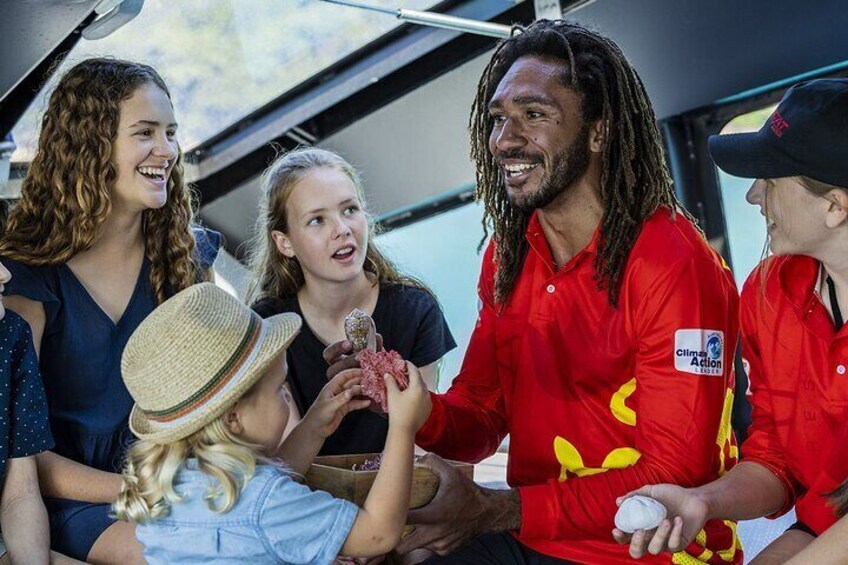 Wildcat Mackay - Great Barrier Reef Presentation