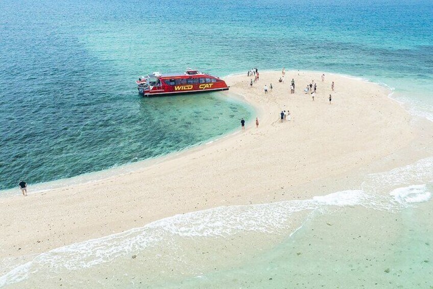 Wildcat Mackay Sandbar