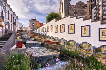 Gran Canaria North Coast Tour Tufia Arucas Firgas and Lunch