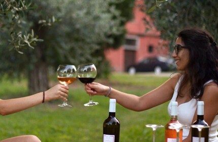 Salò: Winery Tour with Wine and Food Tasting near Lake Garda