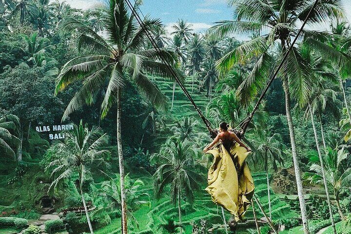 Bali Swing, Monkey Forest and Waterfall Tour 