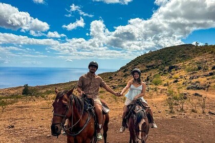Sunshine Mountain Vista Horseback Trail Ride on Oahu