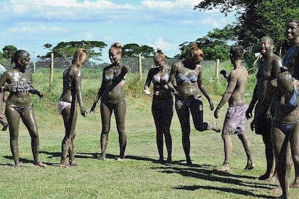 Half Day Mudpools, Veseisei Fijian Village, Gardens of Sleeping Giants &Sho...