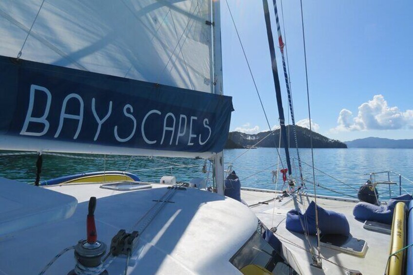 Bayscapes Sailing Charters