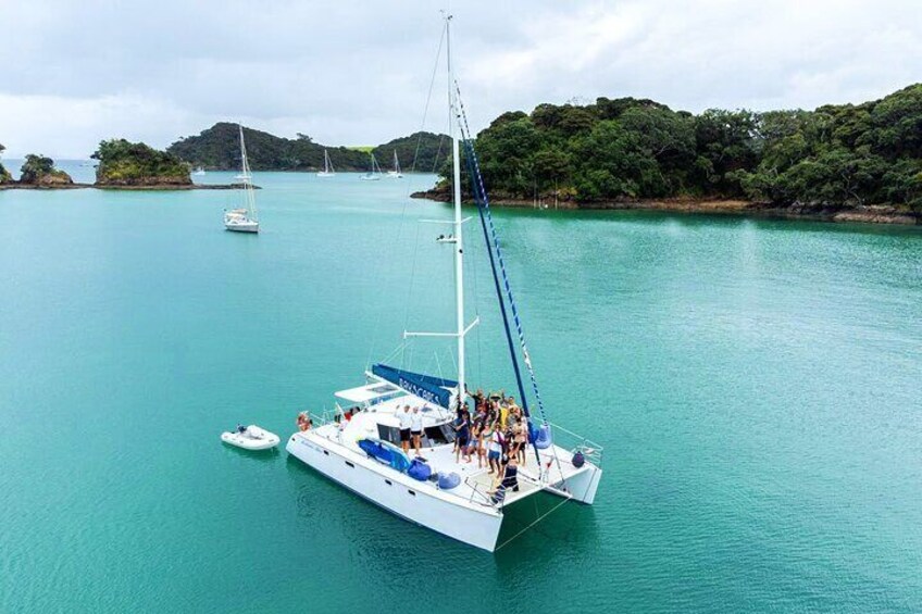 Day Sailing Catamaran Charter in Bay of Islands 