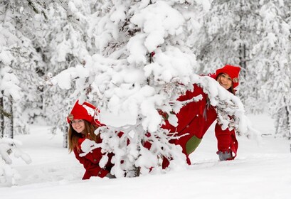 Rovaniemi: Elf's Enchanted Sleigh Ride of Kindness