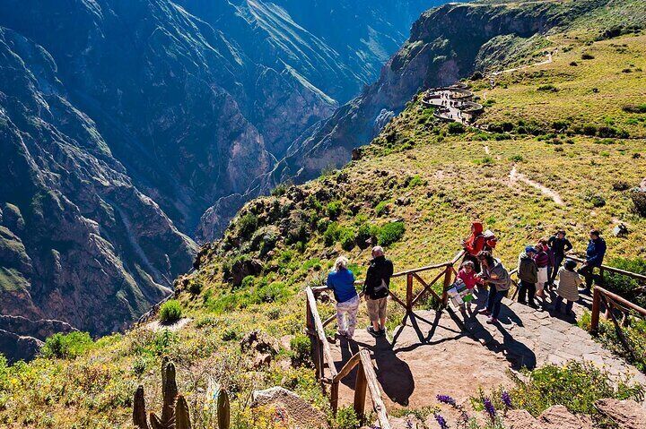 From Arequipa Colca Canyon Tour with Breakfast and Lunch