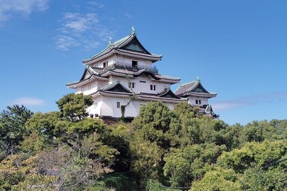 Wakayama: The Tokugawa Castle That Guarded the Southern Coast