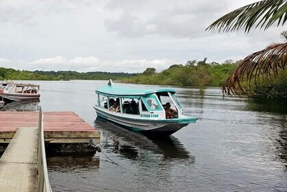 Boat Tour to Museum DA Rubracha and Beach DA Ponta Negra
