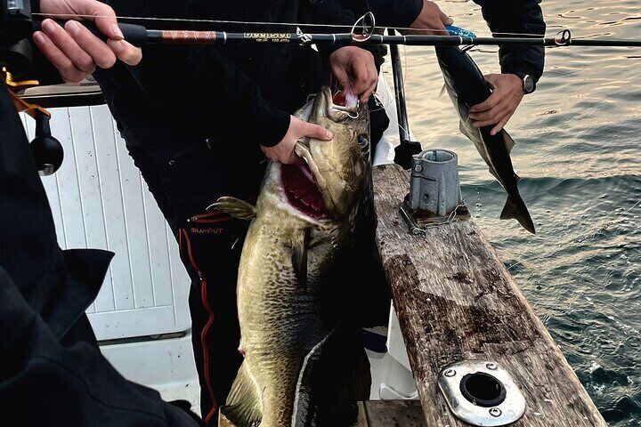 Authentic Sea Fishing Adventure in Lofoten